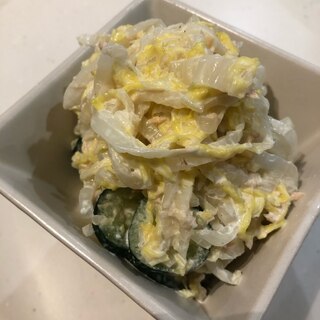 簡単作り置き！白菜のにんにくツナマヨサラダ